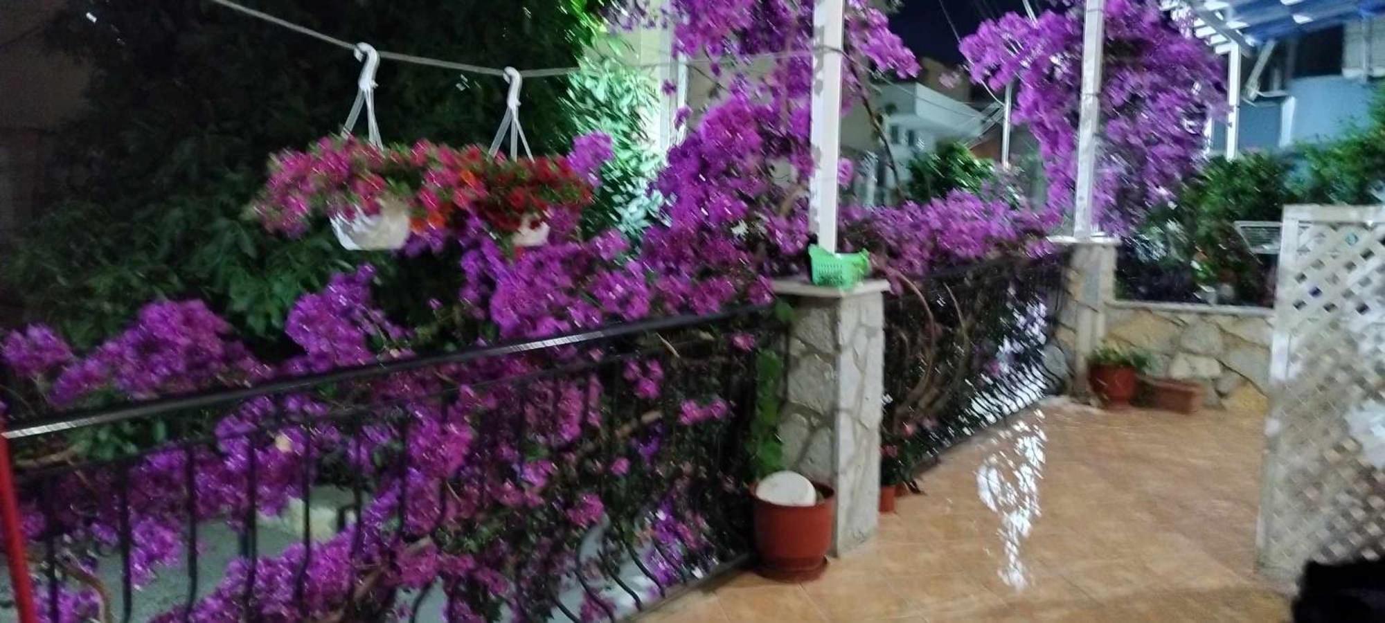 Elena Apartament Saranda Dış mekan fotoğraf